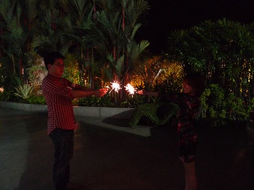 P1010961